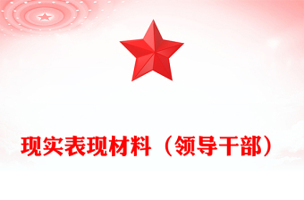 现实表现材料（领导干部）