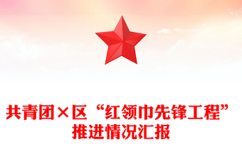 共青团×区“红领巾先锋工程”推进情况汇报