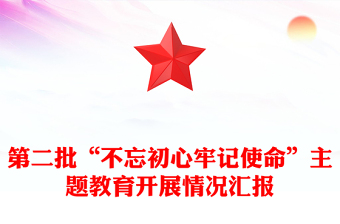 第二批“不忘初心牢记使命”主题教育开展情况汇报
