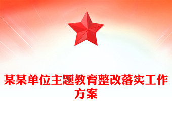 某某单位主题教育整改落实工作方案