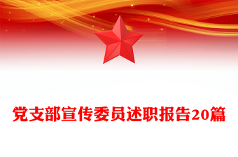 党支部宣传委员述职报告20篇
