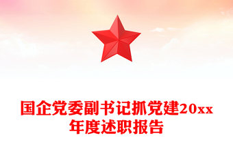 国企党委副书记抓党建20xx年度述职报告