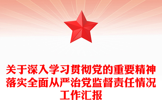 关于深入学习贯彻党的重要精神落实全面从严治党监督责任情况工作汇报