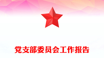 党支部委员会工作报告