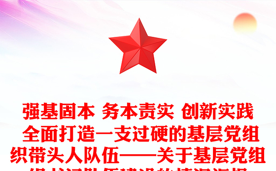 强基固本 务本责实 创新实践 全面打造一支过硬的基层党组织带头人队伍——关于基层党组织书记队伍建设的情况汇报