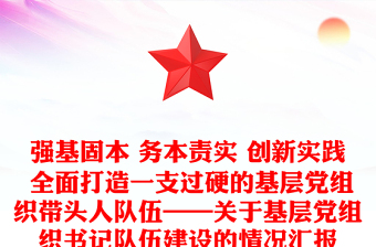 强基固本 务本责实 创新实践 全面打造一支过硬的基层党组织带头人队伍——关于基层党组织书记队伍建设的情况汇报