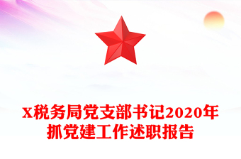 X税务局党支部书记2020年抓党建工作述职报告