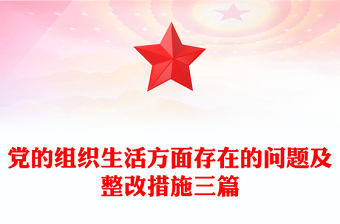 党的组织生活方面存在的问题及整改措施三篇