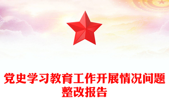 党史学习教育工作开展情况问题整改报告