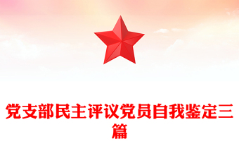2023支部书记自我鉴定