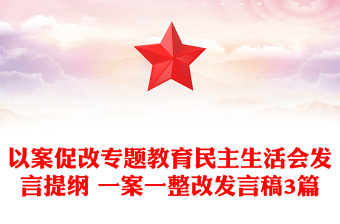 以案促改专题教育民主生活会发言提纲 一案一整改发言稿3篇