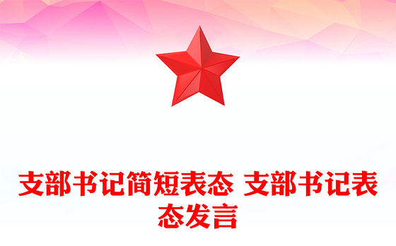 2023警示案例支部书记表态发言