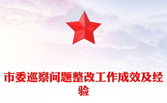 市委巡察问题整改工作成效及经验