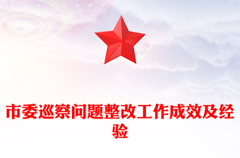 市委巡察问题整改工作成效及经验
