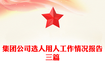 集团公司选人用人工作情况报告三篇