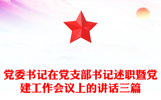 党委书记在党支部书记述职暨党建工作会议上的讲话三篇