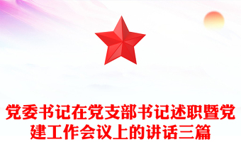 党委书记在党支部书记述职暨党建工作会议上的讲话三篇