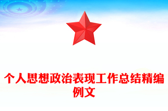 个人思想政治表现工作总结精编例文