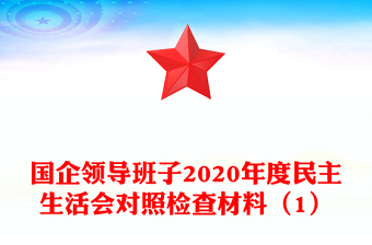 国企领导班子2020年度民主生活会对照检查材料（1）