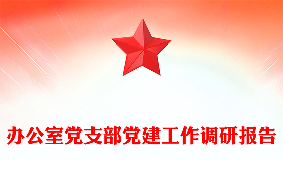 办公室党支部党建工作调研报告