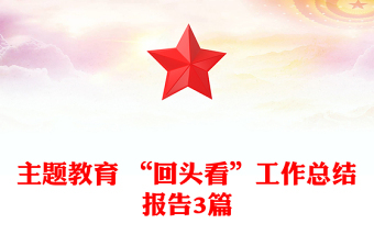 主题教育 “回头看”工作总结报告3篇