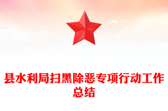 县水利局扫黑除恶专项行动工作总结