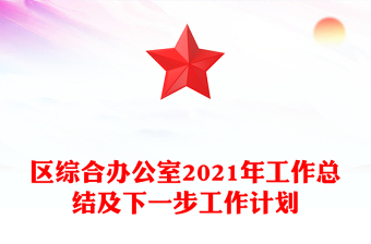 区综合办公室2021年工作总结及下一步工作计划