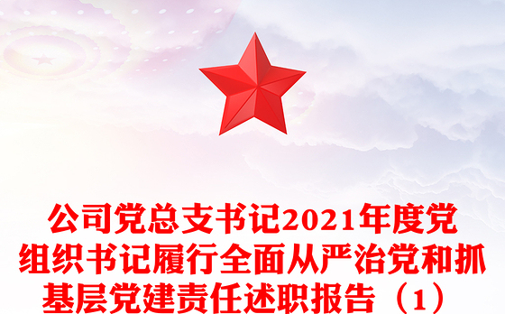 公司党总支书记2021年度党组织书记履行全面从严治党和抓基层党建责任述职报告（1）