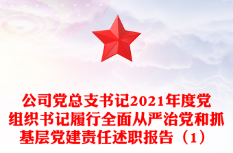 公司党总支书记2021年度党组织书记履行全面从严治党和抓基层党建责任述职报告（1）