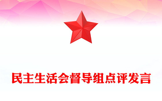 民主生活会督导组点评发言