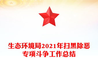 生态环境局2021年扫黑除恶专项斗争工作总结