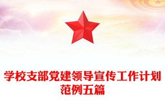 学校支部党建领导宣传工作计划范例五篇