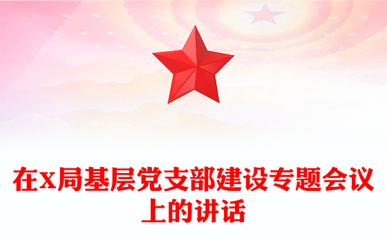 在X局基层党支部建设专题会议上的讲话