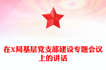 在X局基层党支部建设专题会议上的讲话