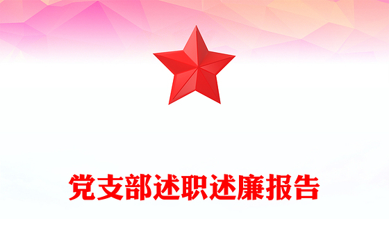 党支部述职述廉报告