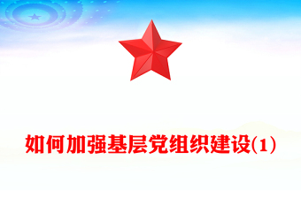 如何加强基层党组织建设(1)