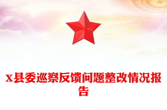 X县委巡察反馈问题整改情况报告