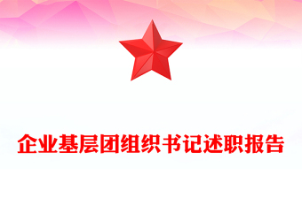 企业基层团组织书记述职报告