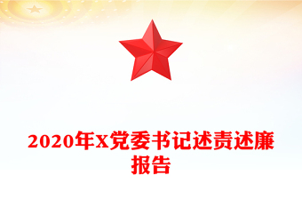 2020年X党委书记述责述廉报告