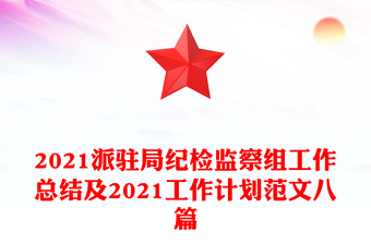 2021派驻局纪检监察组工作总结及2021工作计划范文八篇