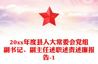 20xx年度县人大常委会党组副书记、副主任述职述责述廉报告-1