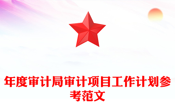 年度审计局审计项目工作计划参考范文
