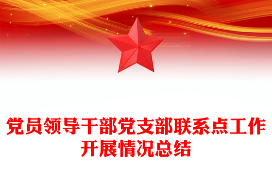 党员领导干部党支部联系点工作开展情况总结