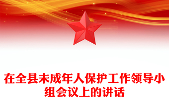 在全县未成年人保护工作领导小组会议上的讲话