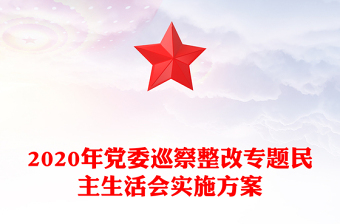 2020年党委巡察整改专题民主生活会实施方案
