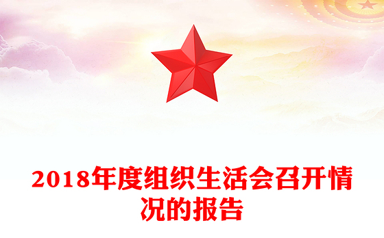 2018年度组织生活会召开情况的报告