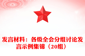 发言材料：各级全会分组讨论发言示例集锦（20组）