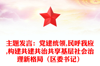 主题发言：党建统领,民呼我应,构建共建共治共享基层社会治理新格局（区委书记）