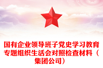 国有企业领导班子党史学习教育专题组织生活会对照检查材料（集团公司）