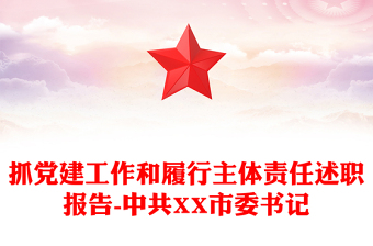 抓党建工作和履行主体责任述职报告-中共XX市委书记